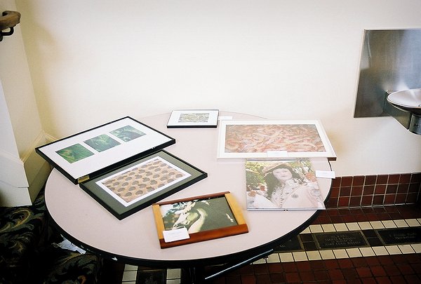 Copyright � 2003 by Steven L. Van Dyke